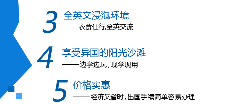 项目特色